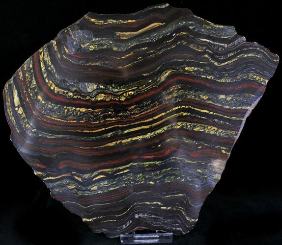 Banded Tiger Iron Stromatolite - Australia ( Billion Years) #22494